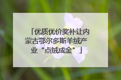 优质优价奖补让内蒙古鄂尔多斯羊绒产业“点绒成金”