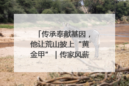 传承奉献基因,他让荒山披上“黄金甲”|传家风薪火 颂家国情深