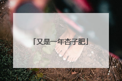 又是一年杏子肥