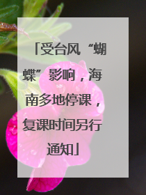 受台风“蝴蝶”影响，海南多地停课，复课时间另行通知