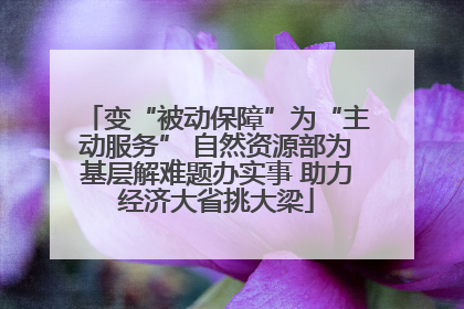 变“被动保障”为“主动服务” 自然资源部为基层解难题办实事 助力经济大省挑大梁