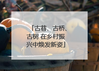 古巷、古桥、古树 在乡村振兴中焕发新姿
