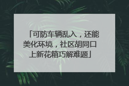 可防车辆乱入，还能美化环境，社区胡同口上新花箱巧解难题