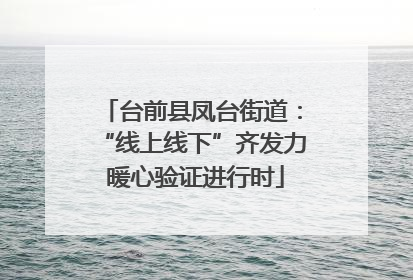 台前县凤台街道：“线上线下”齐发力 暖心验证进行时