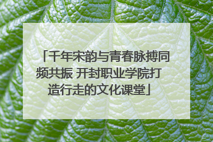 千年宋韵与青春脉搏同频共振 开封职业学院打造行走的文化课堂
