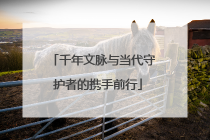 千年文脉与当代守护者的携手前行