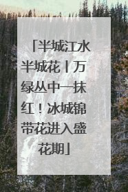 半城江水半城花丨万绿丛中一抹红！冰城锦带花进入盛花期