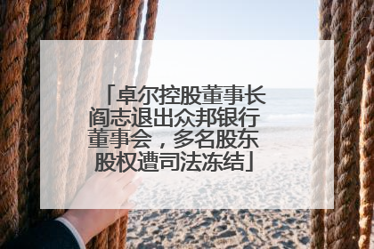 卓尔控股董事长阎志退出众邦银行董事会，多名股东股权遭司法冻结