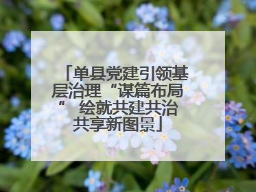 单县党建引领基层治理“谋篇布局” 绘就共建共治共享新图景