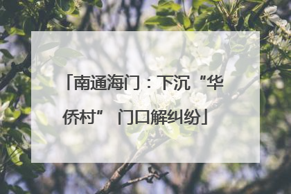 南通海门：下沉“华侨村” 门口解纠纷