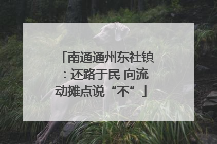 南通通州东社镇：还路于民 向流动摊点说“不”