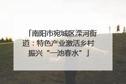 南阳市宛城区溧河街道：特色产业激活乡村振兴“一池春水”