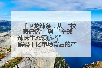 卫龙辣条：从 “校园记忆” 到 “全球辣味生态领航者”——解码千亿市场背后的产品创新与全链路破圈