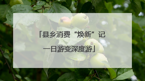 县乡消费“焕新”记 一日游变深度游