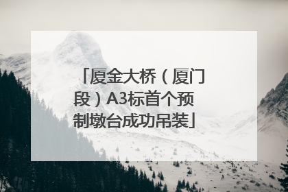 厦金大桥（厦门段）A3标首个预制墩台成功吊装
