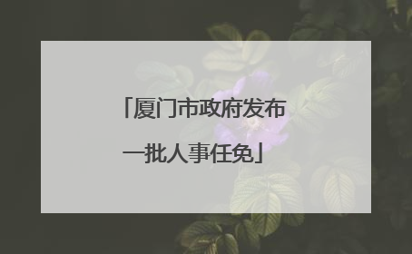 厦门市政府发布一批人事任免