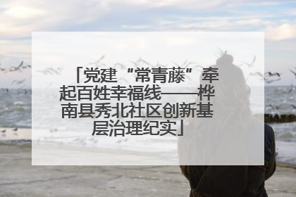 党建“常青藤”牵起百姓幸福线——桦南县秀北社区创新基层治理纪实
