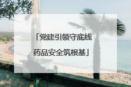 党建引领守底线 药品安全筑根基