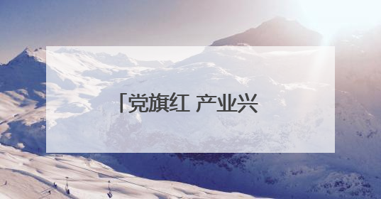 党旗红 产业兴 宿迁“链上党建”激活产业发展新动能