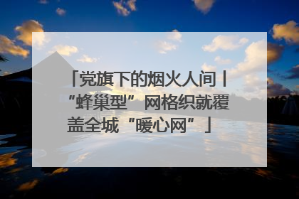 党旗下的烟火人间丨“蜂巢型”网格织就覆盖全城“暖心网”