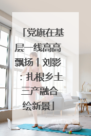 党旗在基层一线高高飘扬丨刘影：扎根乡土 三产融合绘新景