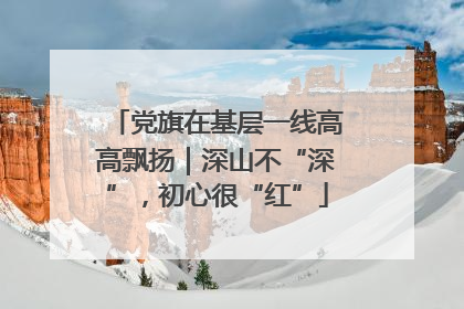 党旗在基层一线高高飘扬｜深山不“深”，初心很“红”