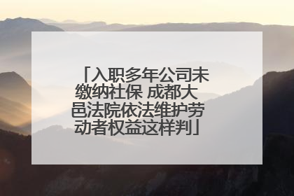 入职多年公司未缴纳社保 成都大邑法院依法维护劳动者权益这样判
