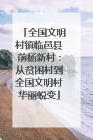全国文明村镇临邑县前杨新村：从贫困村到全国文明村华丽蜕变