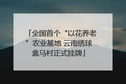 全国首个“以花养老”农业基地 云南绣球盒马村正式挂牌
