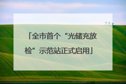 全市首个“光储充放检”示范站正式启用