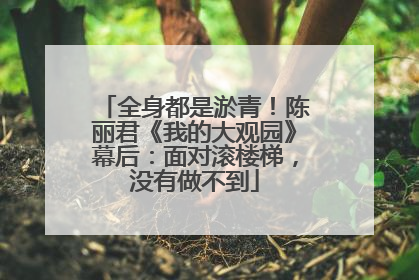 全身都是淤青！陈丽君《我的大观园》幕后：面对滚楼梯，没有做不到