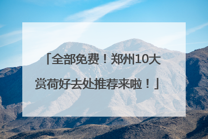 全部免费！郑州10大赏荷好去处推荐来啦！