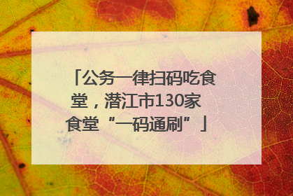 公务一律扫码吃食堂，潜江市130家食堂“一码通刷”