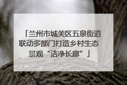 兰州市城关区五泉街道联动多部门打造乡村生态景观“洁净长廊”