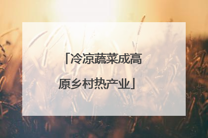 冷凉蔬菜成高原乡村热产业