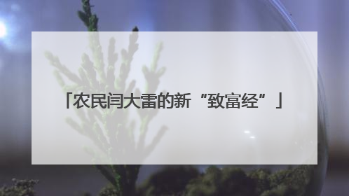 农民闫大雷的新“致富经”