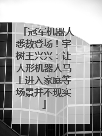 冠军机器人悉数登场！宇树王兴兴：让人形机器人马上进入家庭等场景并不现实