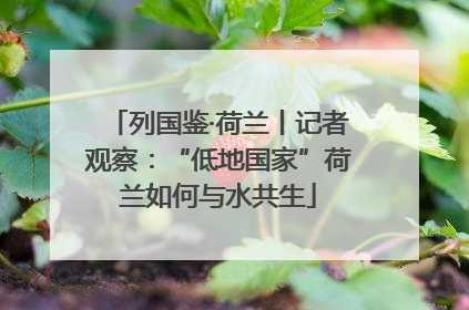 列国鉴·荷兰丨记者观察：“低地国家”荷兰如何与水共生