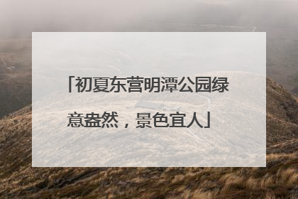 初夏东营明潭公园绿意盎然，景色宜人