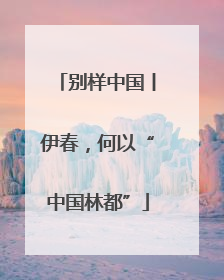 别样中国丨伊春，何以“中国林都”