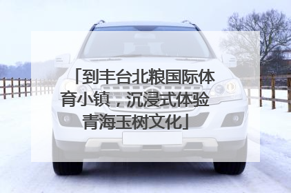到丰台北粮国际体育小镇，沉浸式体验青海玉树文化