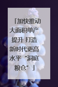 加快推动大面积单产提升 打造新时代更高水平“洞庭粮仓”