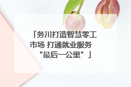 务川打造智慧零工市场 打通就业服务“最后一公里”