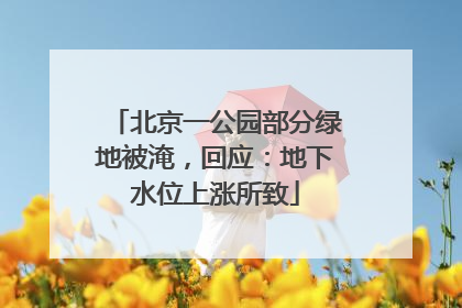 北京一公园部分绿地被淹，回应：地下水位上涨所致