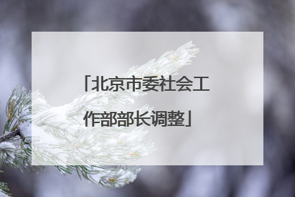 北京市委社会工作部部长调整