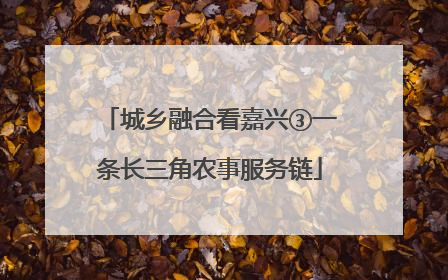 城乡融合看嘉兴③一条长三角农事服务链