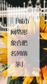 城市网络形象合肥名列前茅