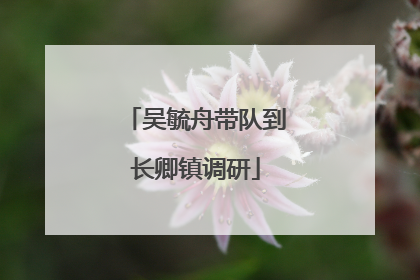吴毓舟带队到长卿镇调研