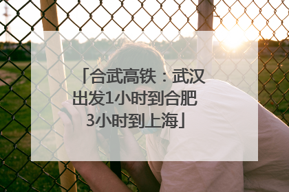 合武高铁：武汉出发1小时到合肥3小时到上海