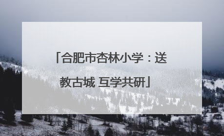 合肥市杏林小学：送教古城 互学共研